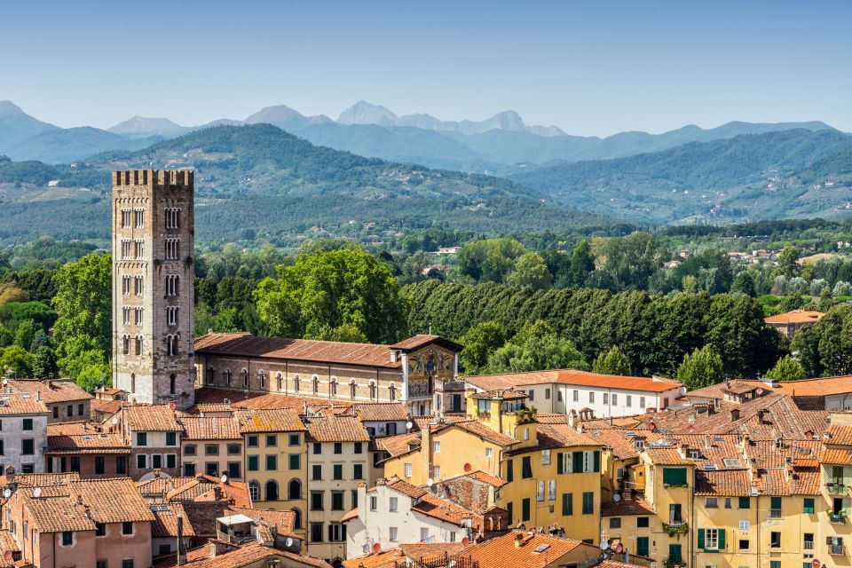 Pisa and Lucca: Private Full-Day Tour by Deluxe Van - Key Points