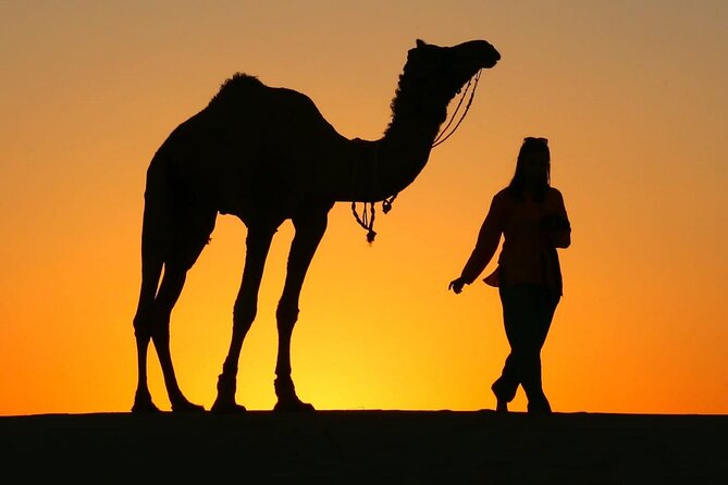 Pleasant Sunset Safari With Dinner On Dunes (From 2:00 PM to Approx. 10:00 PM) - Key Points