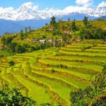 pokhara 4 days royal trek with family Pokhara: 4 Days Royal Trek With Family