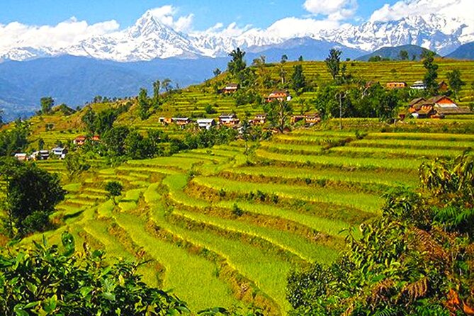 Pokhara: 4 Days Royal Trek With Family