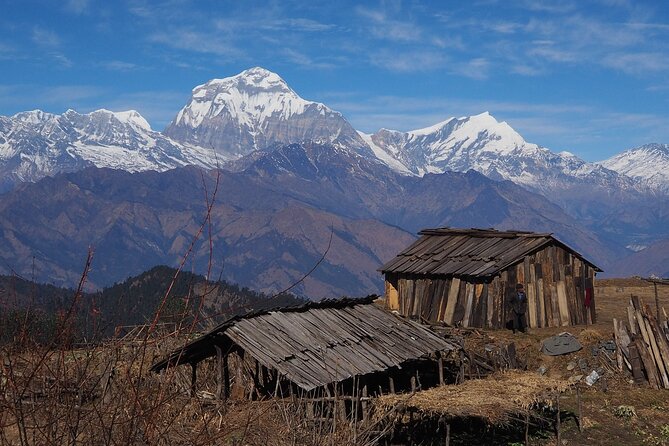 Pokhara 5 Day Private Trek to Mohare Danda - Key Points