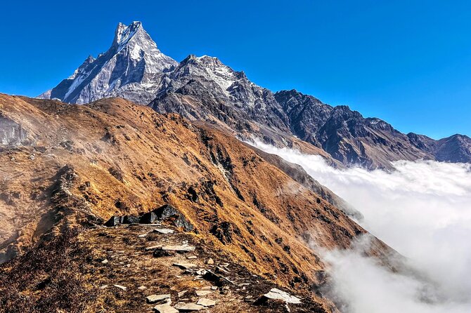 Pokhara Private Tour 4 Day Mardi Himal Base Camp Trek - Tour Inclusions