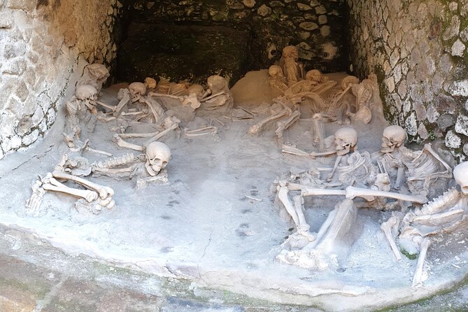 Pompeii and Herculaneum Day Trip From Naples - Key Points