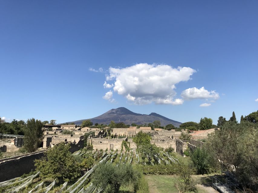 Pompeii & Herculaneum Private Skip-The-Line Tour With Ticket - Key Points