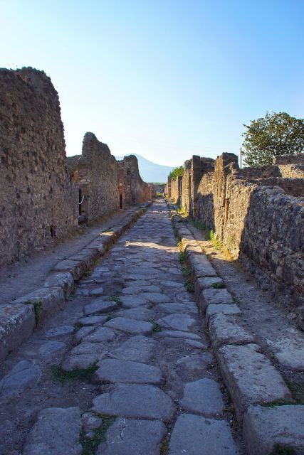 Pompeii Private 5 Hours Tour From Sorrento - Key Points