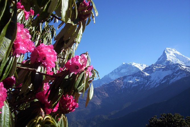 Poon Hill Trek - Key Points