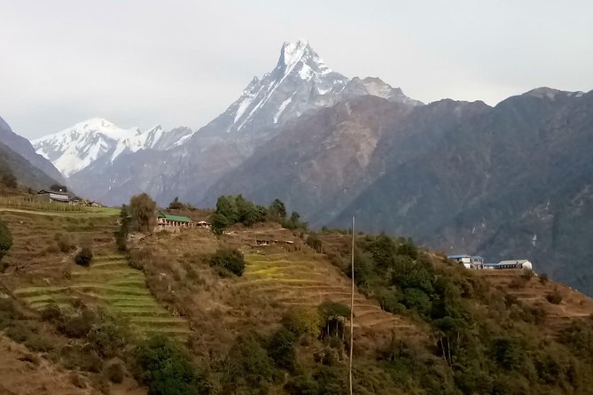 Poon Hill Trek - Best Time to Visit Poon Hill