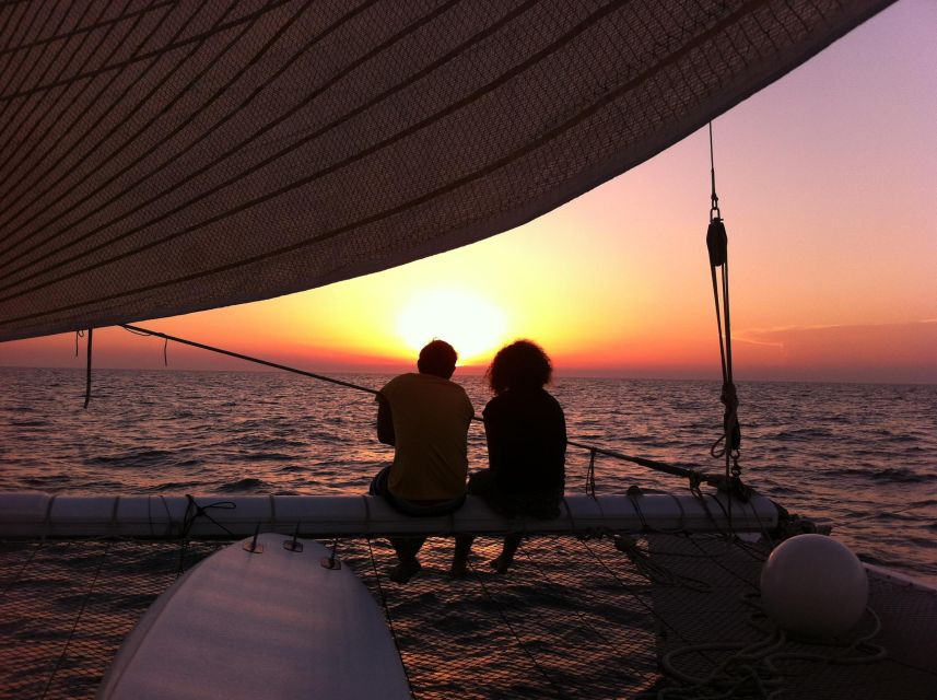 Port Camargue: Half-Day Sailing Tour on a Racing Catamaran - Key Points