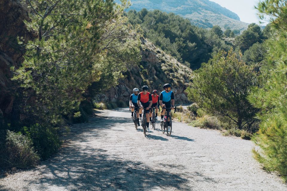 Port De Pollença: Ultimate Bike Rental - Key Points