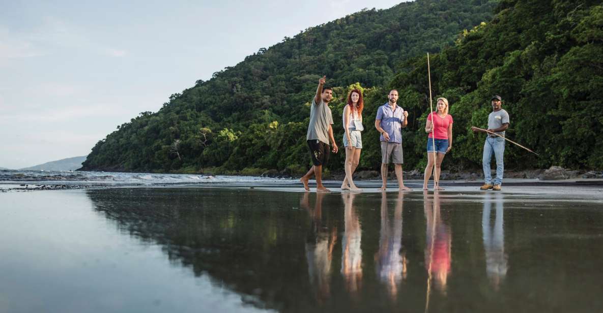 Port Douglas: Daintree Cultural Tour With Hotel Pickup - Key Points