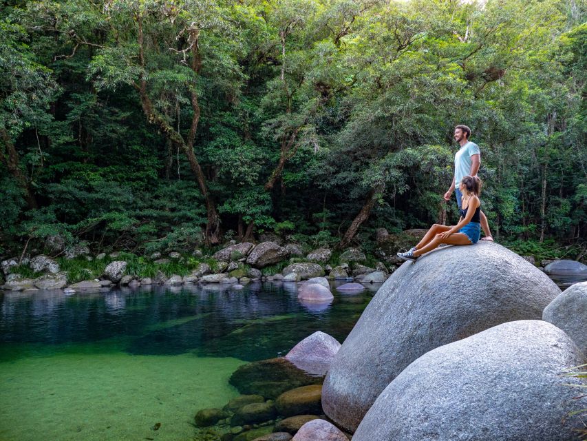 Port Douglas: Daintree Rainforest and Mossman Gorge Tour - Key Points