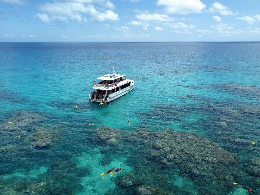 Port Douglas: Outer Great Barrier Reef Snorkeling Cruise - Key Points