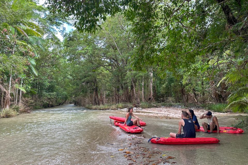 Port Douglas: River Drift Experience in the Daintree - Key Points