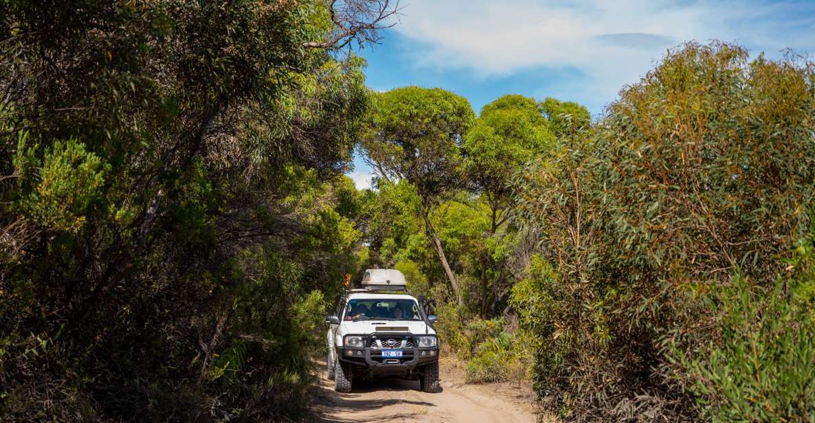 Port Lincoln: Wildlife and Sightseeing Full-Day 4WD Tour - Key Points