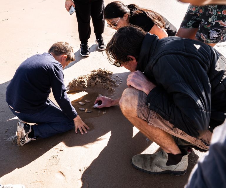 Port Stephens: Birubi Beach 4WD Tour With Sandboarding - Key Points