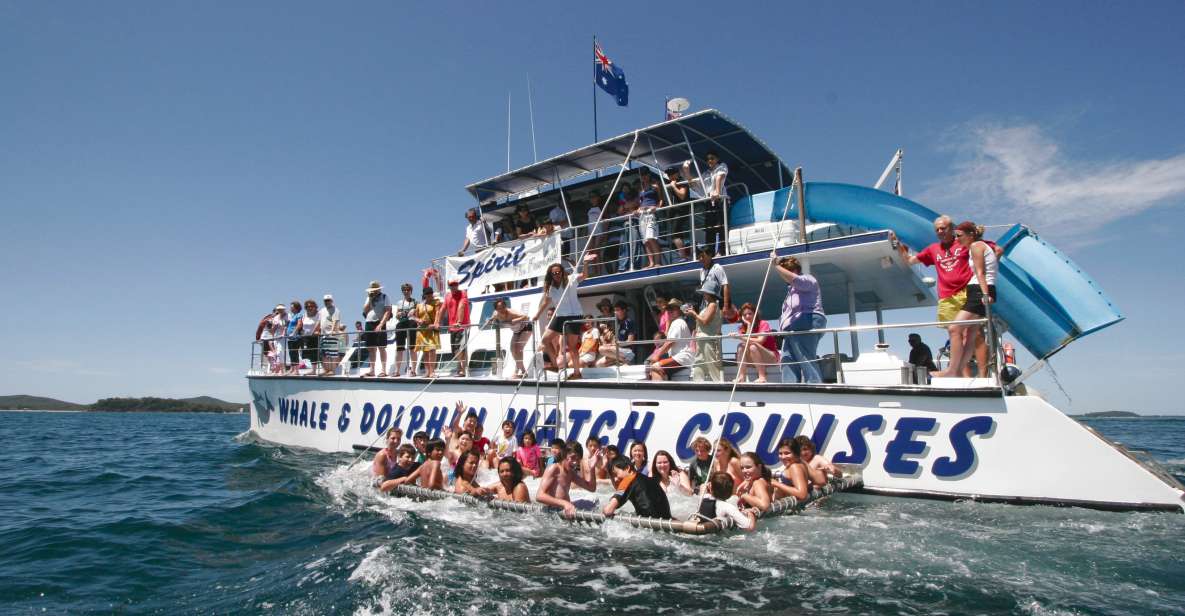 Port Stephens: Dolphin Watch Cruise With Swimming & Slides - Key Points