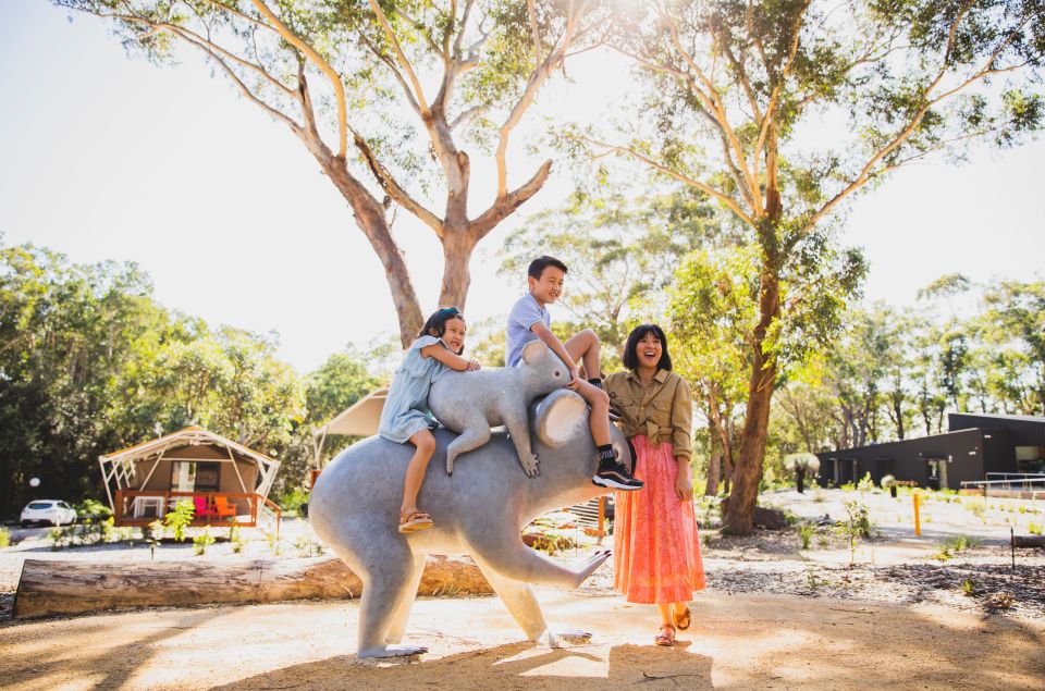 Port Stephens: Koala Sanctuary General Admission Ticket - Key Points