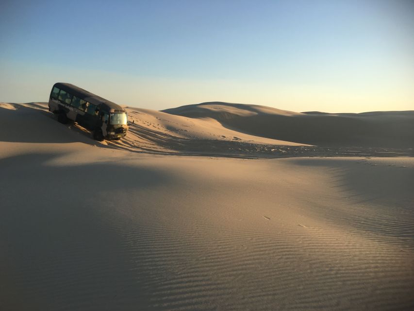 port stephens sandboarding sandsurfing with 4wd transfer Port Stephens: Sandboarding & Sandsurfing With 4WD Transfer