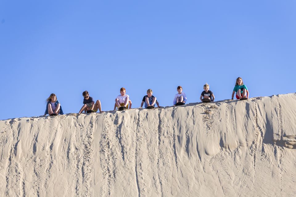 Port Stephens: Unlimited Sandboarding & 4WD Sand Dune Tour - Key Points