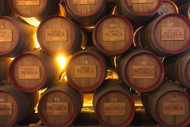 Port Wine Cellars Private Tour With Local Lunch - Tour Highlights
