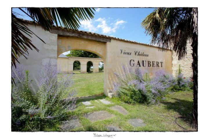 Portets: Visit and Tasting - Old Château Gaubert - Key Points