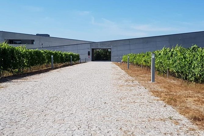 Porto Small-Group Dao Wine Region Tour - Key Points