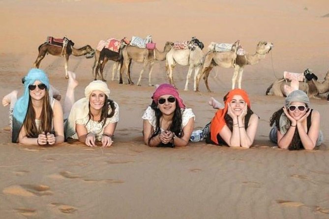 Premium Red Dunesdesert Safari & Camel Safari Sand Boarding With BBQ Live Shows - Key Points