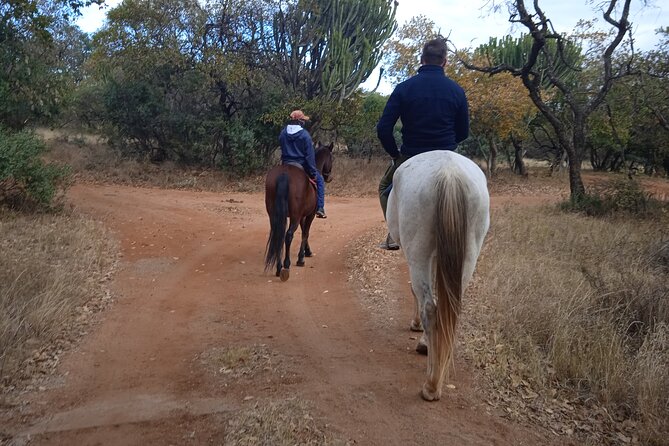 Pretoria Private Half-Day Horseback Riding Safari - Key Points