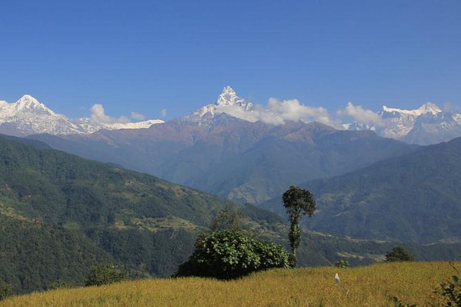 Private 11-Day Guided Trekking Tour: Annapurna Panorama  - Pokhara - Key Points