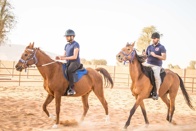 Private 4x4 Mleiha Desert Safari Horse Riding With Museum Visit - Key Points