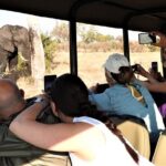 private 4x4 safari tour in kruger national park Private 4x4 Safari Tour in Kruger National Park