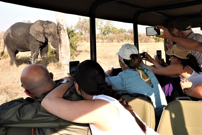private 4x4 safari tour in kruger national park Private 4x4 Safari Tour in Kruger National Park