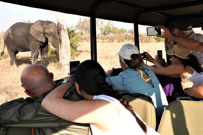 Private 4x4 Safari Tour in Kruger National Park - Key Points