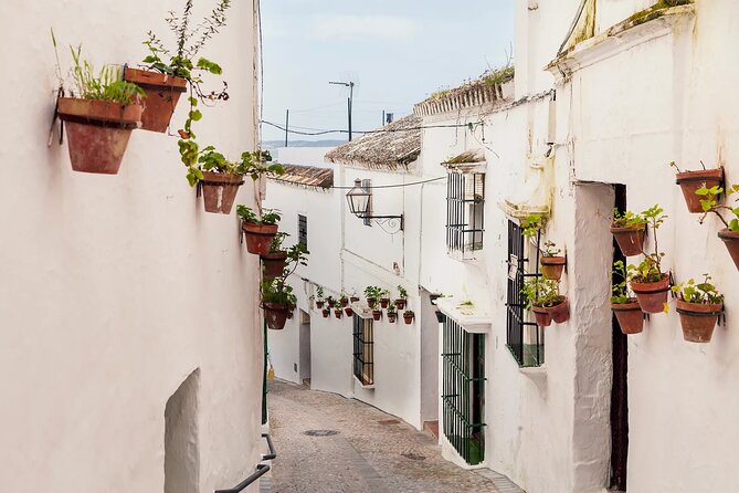 Private 8-Hour Tour of Cadiz and White Villages From Cadiz - Key Points