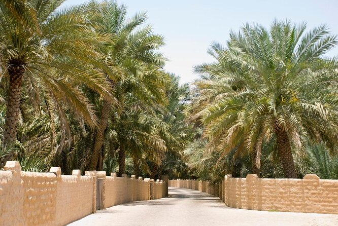 Private Al Ain 8 Hours Tour From Dubai With Professional Driver - Key Points