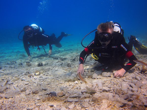 Private Beginners Diving Lesson in Brela  - Makarska - Key Points