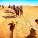 private camel trekking in dubai with morning dune bashing and sand boarding Private - Camel Trekking in Dubai With Morning Dune Bashing and Sand Boarding