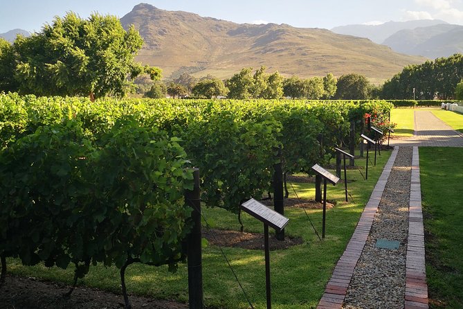 Private Cape Winelands Ful Day Ultra Flexible Guided Tour. - Key Points