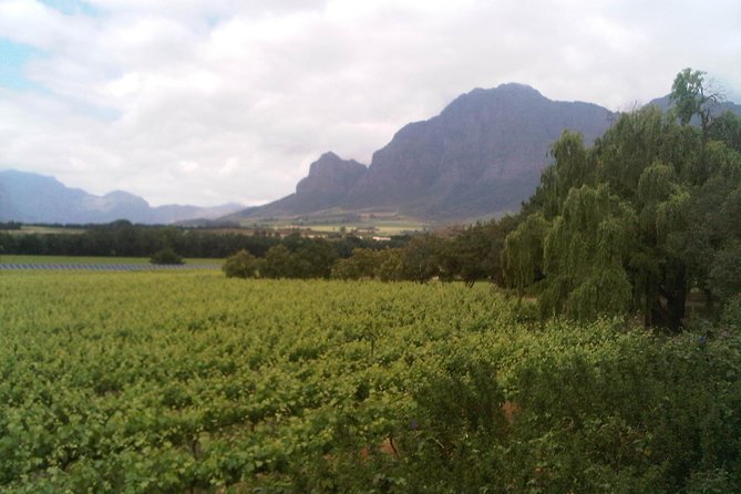 private cape winelands tour from cape town Private Cape Winelands Tour From Cape Town