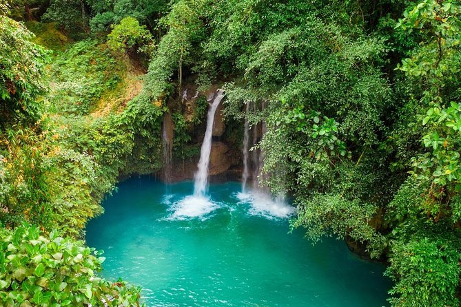 Private Cebu Day Tour: Osmena Peak Canyoneering Kawasan Falls