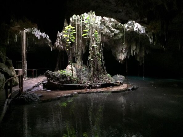 Private Cenote Tour From Playa Del Carmen - Key Points