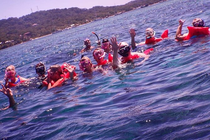 Private Chocolate & Rumfactory Tour Snorkeling CoralReef WestEnd - Booking Details