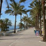 private city tour of marbella and puerto banus with hotel pick up Private City Tour of Marbella and Puerto Banús With Hotel Pick-Up