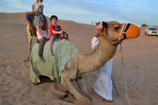 Private Desert Safari From Dubai: Including Buffet Dinner and Live Entertainment - Key Points