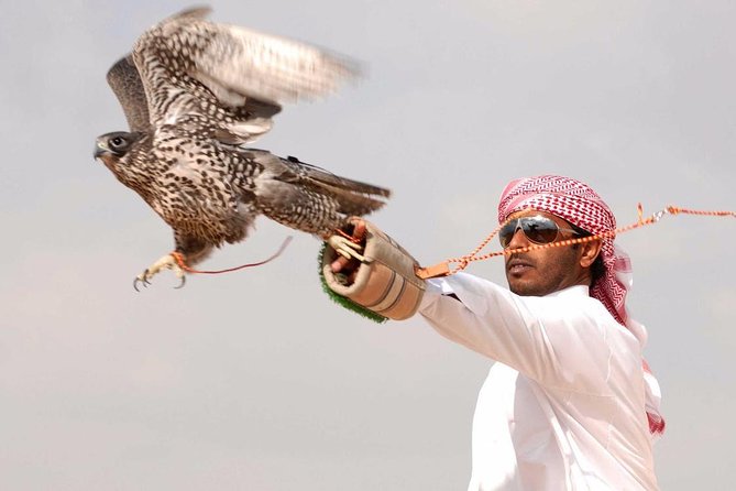 Private Desert Safari With Private Falcon Show With Sunset Setup Experience - Key Points