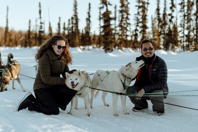 Private Dog Sled Tour - Key Points