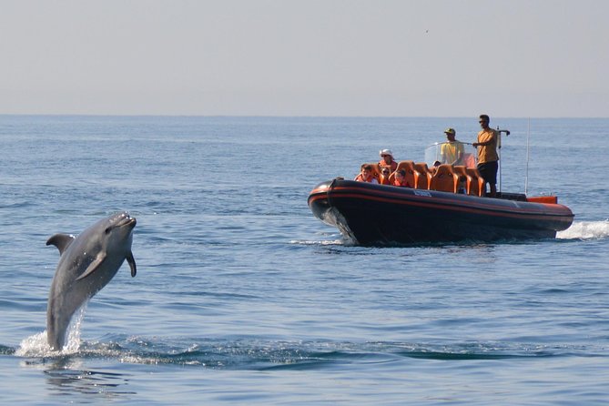 Private Dolphin Watching and Cave Tour From Vilamoura - Key Points