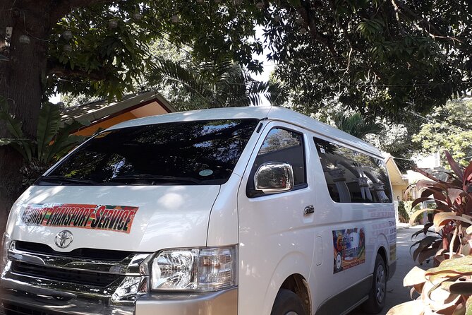 Private for Your Group Puerto Princesa Sightseeing Van - Key Points