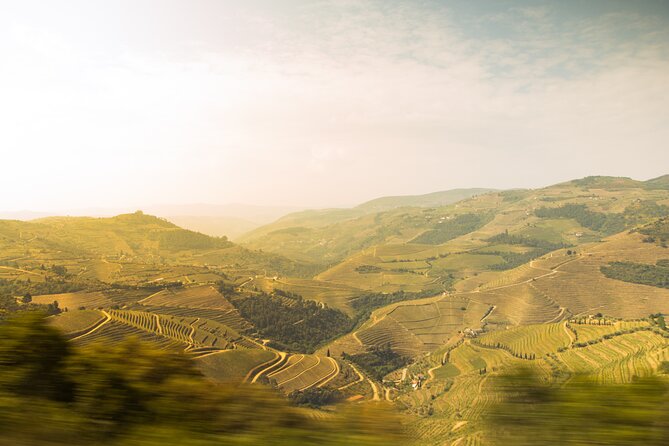 Private Full-Day Douro Valley Wine and Hike Tour From Porto - Key Points