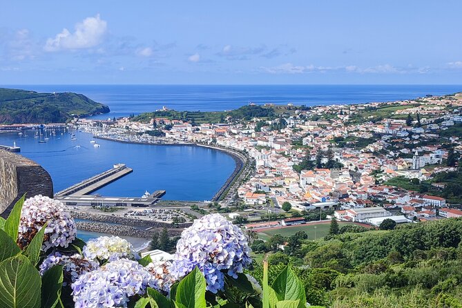 Private Full Day Tour - Faial Island (Up to 8 People) - Key Points